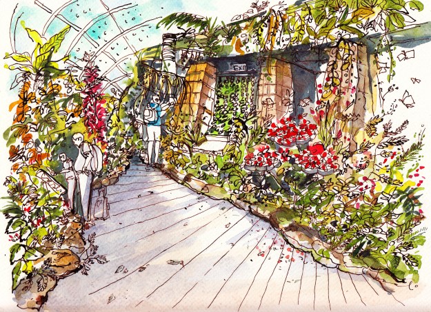 butterfly-garden-somali-roy